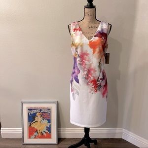 Donna Ricco Floral Sleeveless Dress Size 8